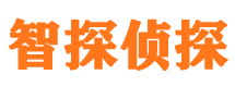 那曲市婚外情取证